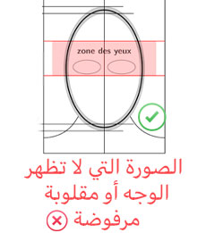 Your Avatar